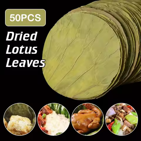 50Pcs 22cm Big Natural Dried Lotus Leaves Disc For Outdoor Kitchen Food Tray Glutinous Rice Chicken 