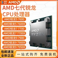 R5 7600 X R7 7700 7800X3D R9 7900 X 7950X散片CPU處理器3D