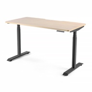 Hinomi S1 Ergonomic Home Office Standing Desk Electric Height Adjustable Dual Motor Table with 4 Mem