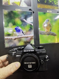 Olympus OM-5 OM5  近乎全新 快門2XXX  收購各類型相機及鏡頭，價錢合理 
welcome trade in camera and lens