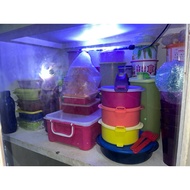 Live Link 5kg + Admin