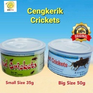 CANNED  CRICKETS CENGKERIK  KERING TIN 35G / 50G