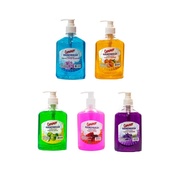 Cammer Antibacterial Hand Wash/Anti-Bacterial Hand Wash Liquid 500ml