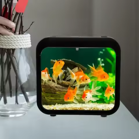 Transparent Betta Fish Tank with Water Grass, Plastic Double-Grid Betta Isolation Box, Single and Do