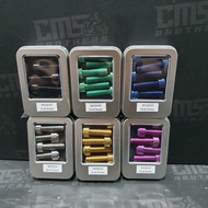 WR3 Titanium Bolts Brembo Caliper 4P M10 x 30 Coarse Thread