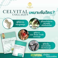 เซลไวทอล คอลลาเจน CELVITAL Collagen ผลิตภัณฑ์เสริมอาหารดูแลกระดูกและข้อ The Dreamer ของแท้100%