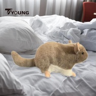 [Available] Plush Toy, Chinchilla/ Guinea Pig Stuffed Animal, Science Natural Education for