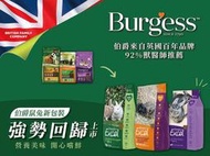 【阿肥寵物生活】英國伯爵 Burgess 兔飼料/機能飼料 奧勒岡 薄荷 侏儒兔 成兔 老兔 室內兔 天竺鼠 龍貓