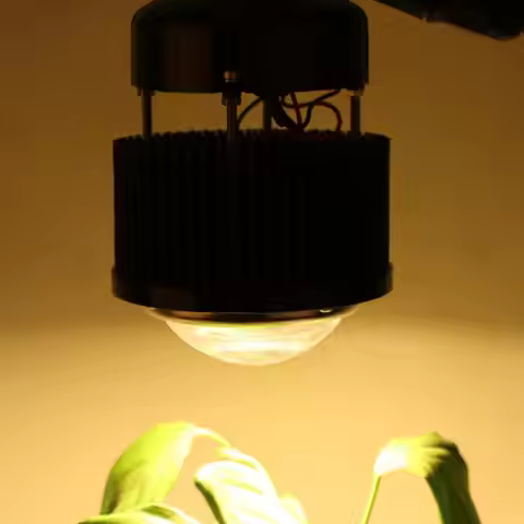 CREE CXB3590 COB LED Grow lamp Full Spectrum White light 3000K/3500K/5000K/6500K with Meanwell Drive