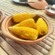 Terracotta Cup Food Container Width 7 Inches Get 1 Piece Durable Can Be Used For A Long Time Souveni