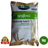 Benih Jagung PENDEKAR SAKTI 1kg bibit jagung hibrida sakti nk212s syngenta