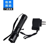 High Power UV Purple Light Leak Detection Document Flashlight Inspection Air Conditioner Flashlight 