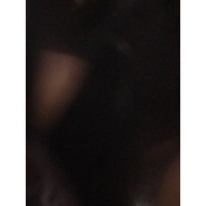 hoodie dickies art 22