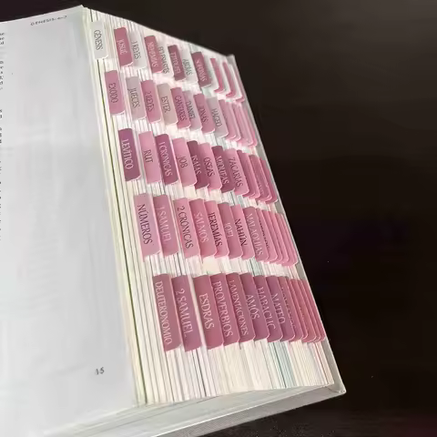 75Pcs Laminated Bible Tabs Bible Index Tabs Large Print Bible Book Tabs Bible Index Book Tabs Bible 