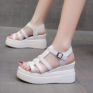 Venkao giày đế xuồng 7 phân giày công sở đế xuồng giày đế xuồng dép nữ đế cao 5 phân giày nữ đẹp gia