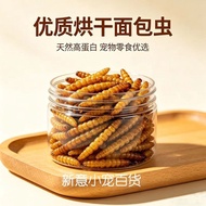 Price Dried Mealworm Feed Golden Bear Dried Mealworm Dried Yellow Hamster Use Parrot Use Yellow Meal