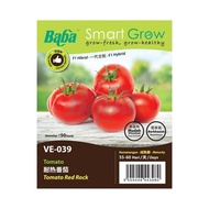 BABA SEED Baba Smart Grow Seed: VE-039 Tomato Red Rock/ Tomato /耐热番茄 /Benih Sayur/Vegetable Seed