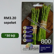 ~30 Biji Benih Asparagus Seed Jom Tanam