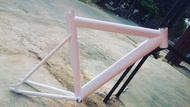 Frame fixie soloist custom