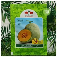 Paket 400 Seeds MADESTA F1 Biji Benih Rock Melon F1 Hybrid Cantaloupe Seeds Cap Panah Merah East West Seed Ready Stock.