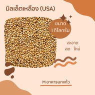 yellow millet A Dietary Supplement For All Types Of Birds (Sold Separately 500G/1KG)