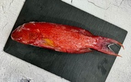 【9折優惠！野生頂級紅條魚x5隻(350g±10%/隻)】宴會中常見的高級食材 已三去處理