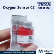 Oxygen Sensor 02