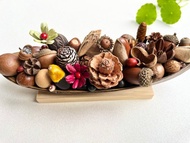 植物擺飾-種子船(大)/乾燥果實