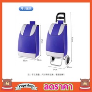 รถเข็นขนาดเล็ก รถเข็นใส่ของ รถลาก2 ล้อ รถเข็นตะกร้า คละสี  Shopping bags with wheels รถเข็นของ2ล้อ รถเข็นจ่ายตลาด รถเข็นช๊อปปิ้ง รถเข็นของ