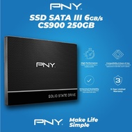 SSD PNY 250GB CS900