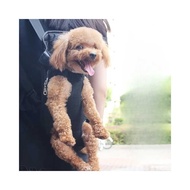 QUICKSHP Yelesley Dog Cat Pet Carrier Backpack Size L - Y-38