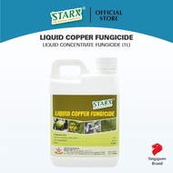 STARX 🇸🇬 | Liquid Copper Fungicide (1L) Liquid Concentrate - Fungicide Controls A Large Variety of P