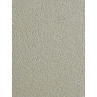 Art Paint Elegant Spar Art Paint Texture Paint Diatom Mud Stash Mud Malay Paint