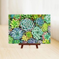 Pintoo Puzzle XS368 Succulent Wall P1432
