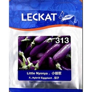 BIJI BENIH LECKAT LITTLE NYONYA F1 HYBRID EGGPLANT 313 (10GRAM)