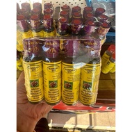 MINYAK  IBU GAMAT BERANGIN/ ASLI WARISAN SITI  LANGKAWI