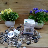 SKYLED Led Ceiling 3014 1Watt