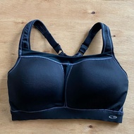 Champion Duo Dry 36D Sports Bra