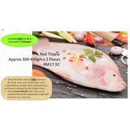 Frozen Red Tilapia / Tilapia Merah (300-400GM) x 2 Ekor