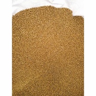 [1kg] Pellet /Dedak Ikan 8811 (1mm) /Makanan Ikan Keli,Talapia,Guppy,Koi / Makanan Ikan /