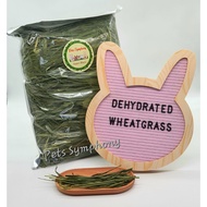 [SG Stock] Dehydrated Wheatgrass