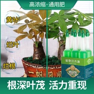 Organic Fertilizer Small Gardening Pot Hydroponic Flower Green Plant Flower Fertilizer Soil Culture Root Liquid