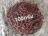 ไส้เดือน AF บรรจุ 100 กรัม