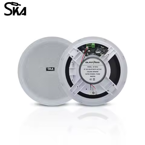 8inch Bluetooth Speaker System 2pcs 20W Full Range Ceiling Speaker Built-in Digital Class D Amplifie