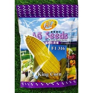 Benih Jagung Manis King Corn F1 316 Sweet Corn Seed 200gm