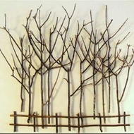 HIASAN DINDING KAYU Small Wooden Twigs Branch. Wall Decoration Crafts