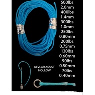 Hollow kevlar assisthook (assist line)