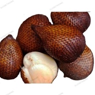 BUAH SALAK / SNAKE FRUIT ( 500G & 1KG )