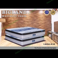 Kasur Bigland foam 160 x 200