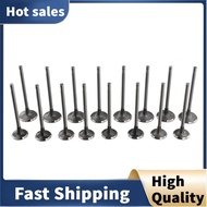 16 Pcs Intake Exhaust Valves for  A3 A4 A5 A6  Golf    B7 CC  06D 109 601 M 06D 109 611 H